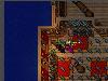 tibia