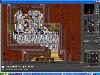 Tibia my love