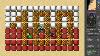 Tibia ^^