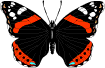 moniaczek