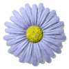 Okrucha