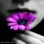 Renia2108