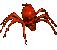 wiecek