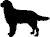 MatrixPL