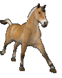 Grajka
