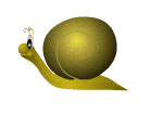Woy 