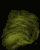 Woy 