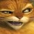 Woy 