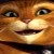 Woy 