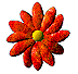 Woy 