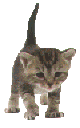Woy 