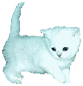 Woy 