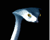 Woy 
