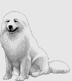Woy 