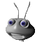 Woy 