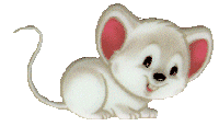 Woy 