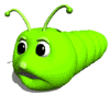 Woy 