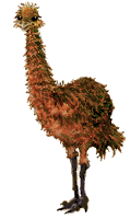 Woy 
