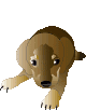 Woy 