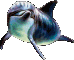 Woy 