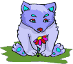 Woy 