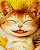 Woy 