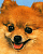 Woy 