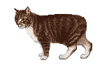 Woy 