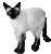 Woy 