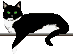 Woy 