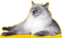Woy 