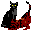 Woy 