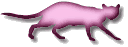 Woy 