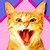 Woy 