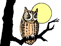 Woy 