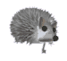 Woy 