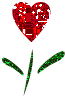 Woy 