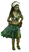 Woy 