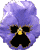 Woy 