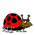 Woy 