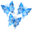Woy 