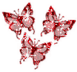 Woy 