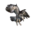 Woy 