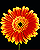 Woy 