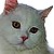 Woy 