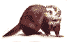 Woy 