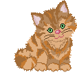 Woy 