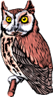 Woy 