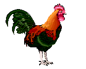 Woy 