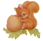 Woy 